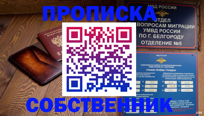 временная регистрация 2025 в Мончегорске